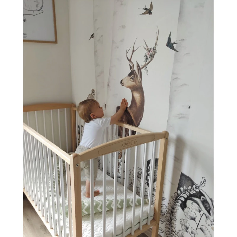 Matelas évolutif Tencel 60x120 CANDIDE 20 Matelas évolutif Tencel 60x120 CANDIDE – Image 18