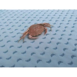 Matelas Océan Friendly 70x140 CANDIDE -MADE4BABY BOUTIQUE matelas ocean friendly 16