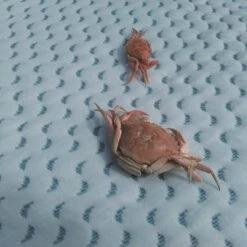 Matelas Océan Friendly 70x140 CANDIDE -MADE4BABY BOUTIQUE matelas ocean friendly 18