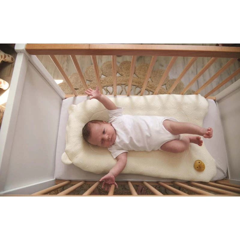 Support De Sommeil Topponcino CANDIDE 14 Support De Sommeil Topponcino CANDIDE – Image 12