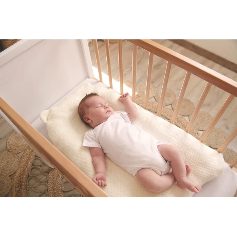 Support De Sommeil Topponcino CANDIDE 18 Support De Sommeil Topponcino CANDIDE – Image 16