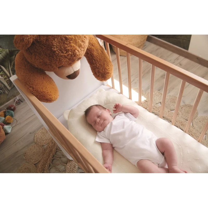 Support De Sommeil Topponcino CANDIDE 21 Support De Sommeil Topponcino CANDIDE – Image 19